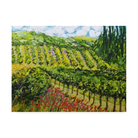 Trademark Fine Art Allan Friedlander 'Mountain Vineyard Hill' Canvas Art, 35x47 WAG13727-C3547GG